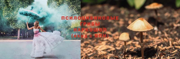 mix Горнозаводск