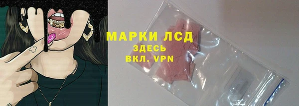 ПСИЛОЦИБИНОВЫЕ ГРИБЫ Чегем