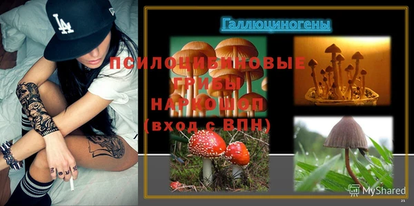 стаф Хадыженск